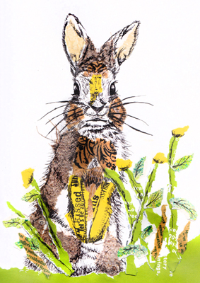 Rabbit-in-the-buttercups