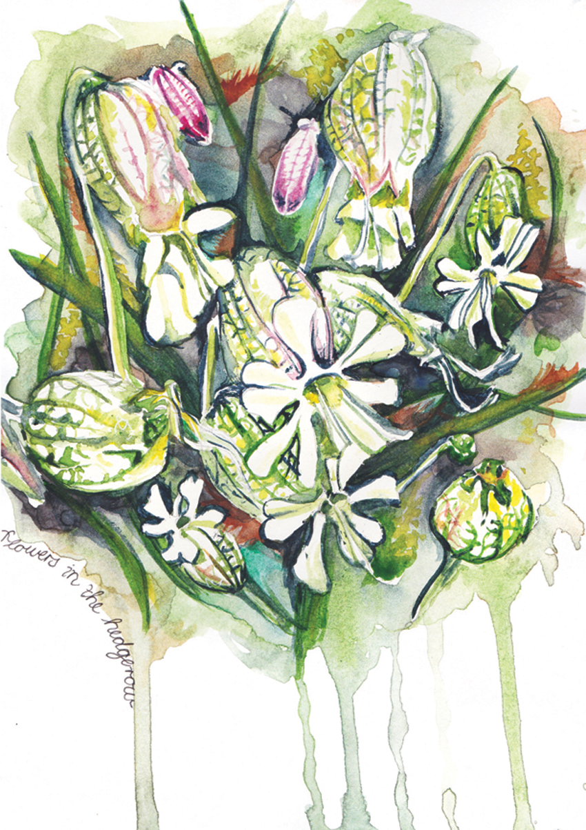 Flowers in the Hedgerow