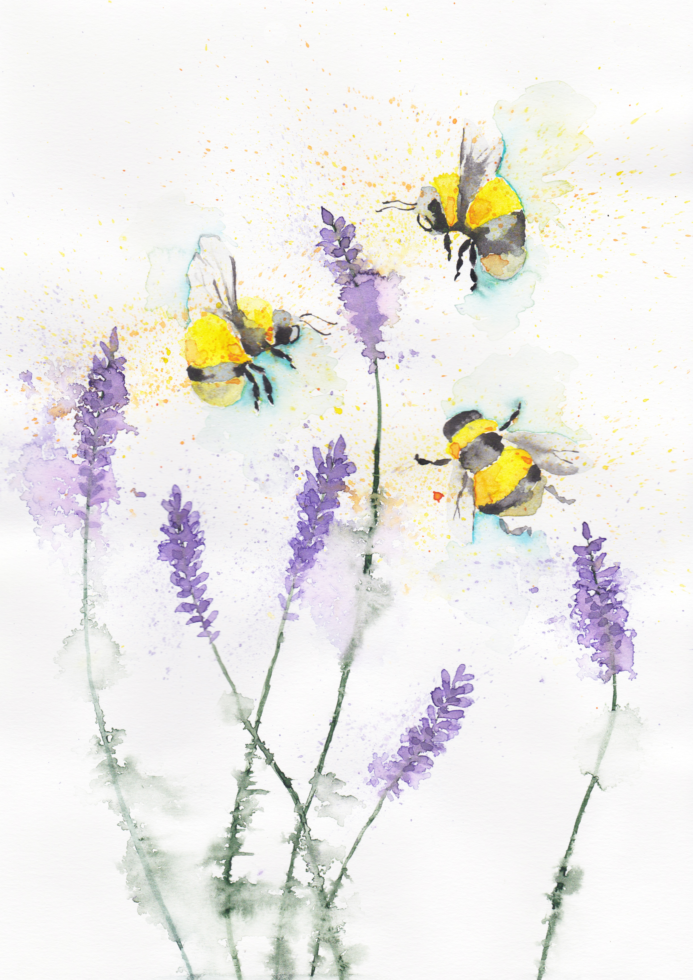 bees-in-the-lavender